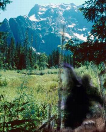 image001.jpg